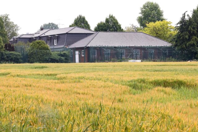 In idyllischer Randlage in Unna-Uelzen liegt der „Vogelpark“ des Unnaer Unternehmers Thomas Wiese.
