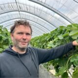 Landwirt Nils Henter steht bei seinen Erdbeeren im Tunnel. Auf dem zweiten Bild ist eine Erdbeere zu sehen, über die eine Schnecke kriecht.
