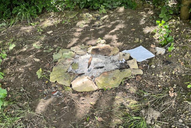 Ein grober Kreis aus Steinen, in der Mitte Asche: Im Bornekamp hat jemand ein Feuer gemacht.