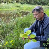 Andreas Förster vom Naturschutzbund (NABU) begutachtet am Ufer des Teichs im Bornekamp in Unna eine Pflanze