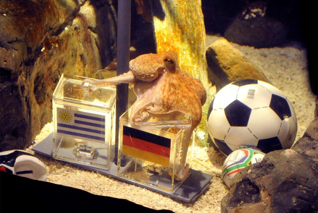 Der Krake Paul, Fußball-Orakel des Sea Life in Oberhausen,
