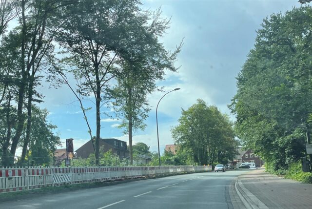 Die Bäume des Wäldchens an der Erich-Ollenhauer-Straße sind größtenteils verschwunden.