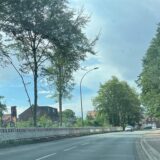 Die Bäume des Wäldchens an der Erich-Ollenhauer-Straße sind größtenteils verschwunden.