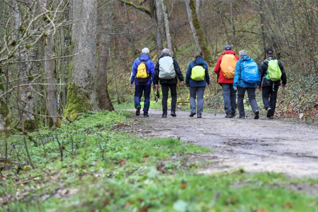 Wanderer im Wald