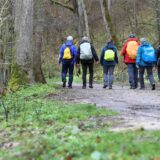 Wanderer im Wald