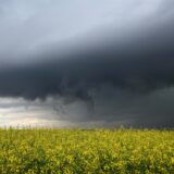 Gewitterwolken ziehen auf