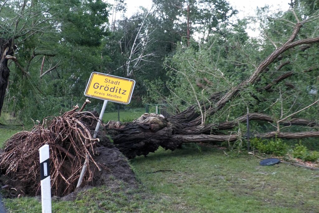Ein umgefallener Baum liegt neben dem Ortsschild von Gröditz. Ein umgefallener Baum liegt neben dem Ortsschild von Gröditz.