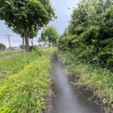 Wie hier am Cappenberger Damm gibt es in ganz Selm an verschiedenen Stellen aktuell Probleme mit der Grünpflege.