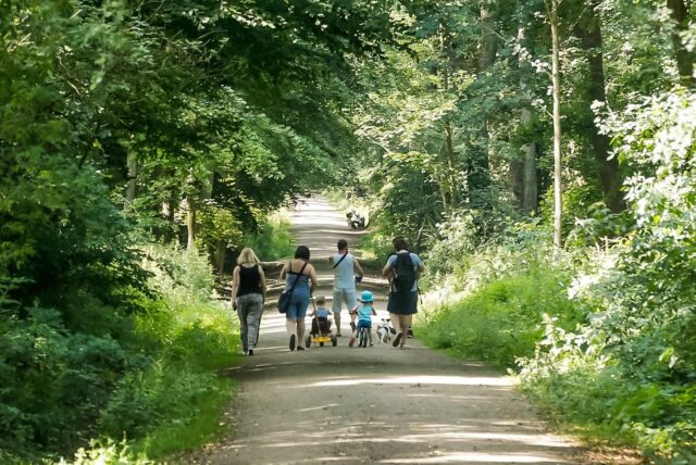 Familien laufen durch den Rahmer Wald in Dortmund.