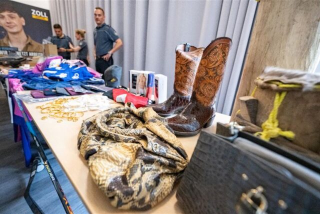 Auf einem Tisch stehen Cowboystiefel und Ledertaschen. Hinter dem Tisch stehen Mitarbeitende des Zolls, die die Ware kontrollieren.