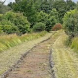 So sieht die Finnenlaufbahn in Massen seit der kurzfristig erfolgten Grünpflege aus.