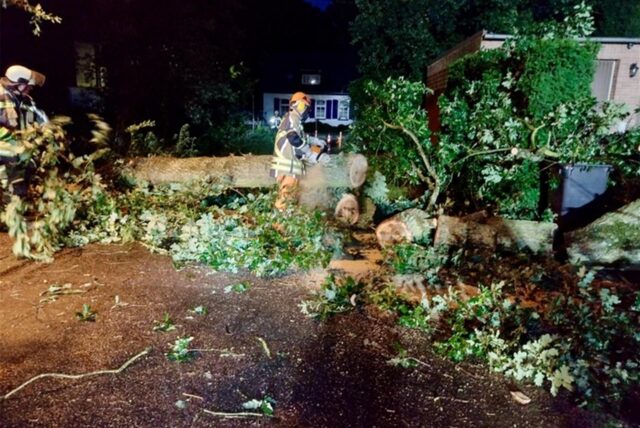 Einsatzstelle der freiwilligen Feuerwehr in Hünxe: Ein Baum stürzte auf ein Hausdach.