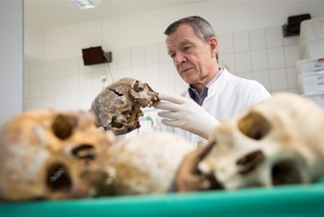 Klaus Püschel blickt einen Schädel an.