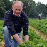 Hubertus Bleckmann kann in diesen Tagen nicht immer wie gewünscht aufs Feld und Erdbeeren pflücken.
