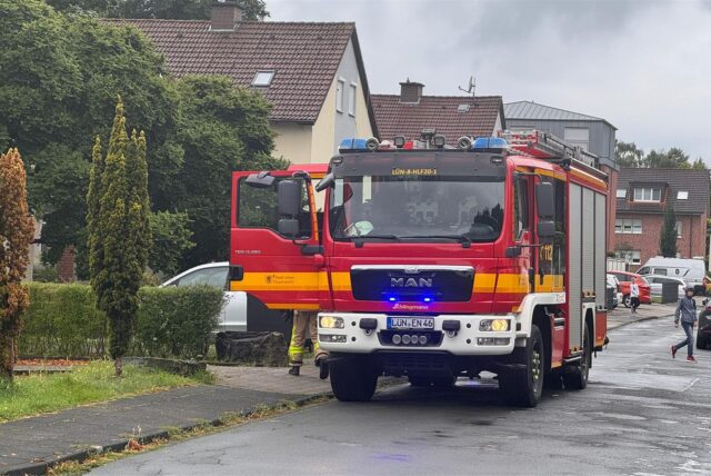 Ein Feuerwehrmann und ein Feuerwehrauto.