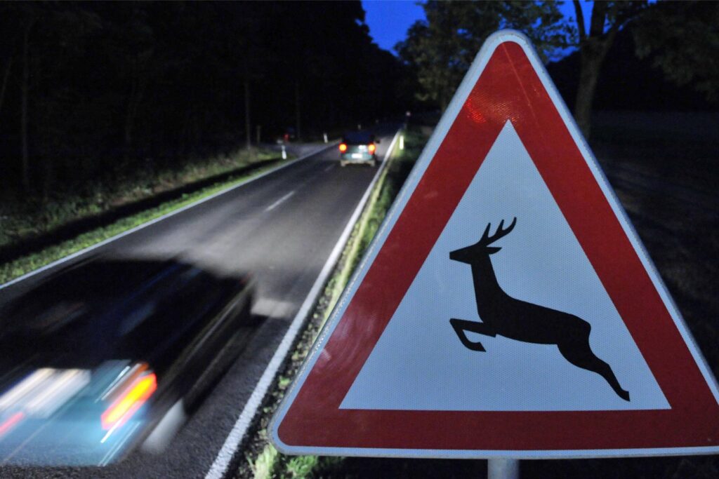 Autos fahren an einem Wildwechsel-Hinweisschild vorbei.