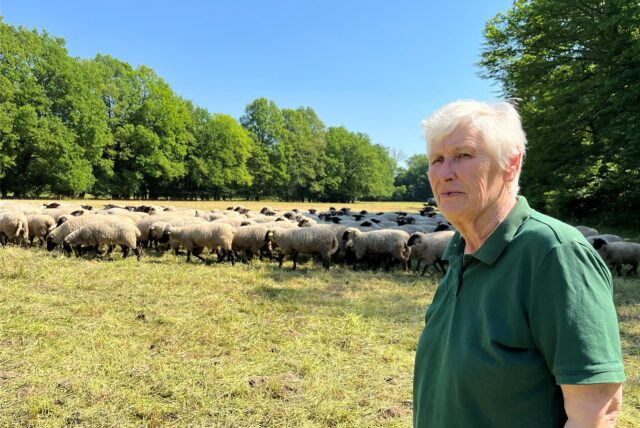 Gisela Hibbeln muss sich in der gleichnamigen Schäferei in Grevel derzeit mit der Blauzungenkrankheit auseinandersetzen.