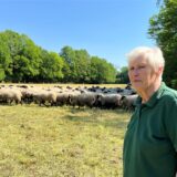 Gisela Hibbeln muss sich in der gleichnamigen Schäferei in Grevel derzeit mit der Blauzungenkrankheit auseinandersetzen.