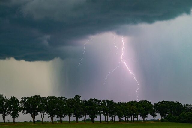 Ein Gewitter wurde über einer Baumreihe fotografiert.