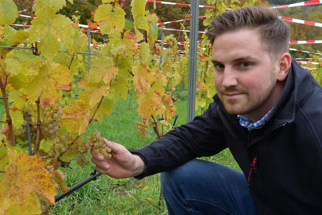 Marc Leitis ist der Leiter des Weinguts Graf von Kanitz und kennt sich mit den Herausforderungen des Weinbaus aus.
