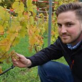 Marc Leitis ist der Leiter des Weinguts Graf von Kanitz und kennt sich mit den Herausforderungen des Weinbaus aus.