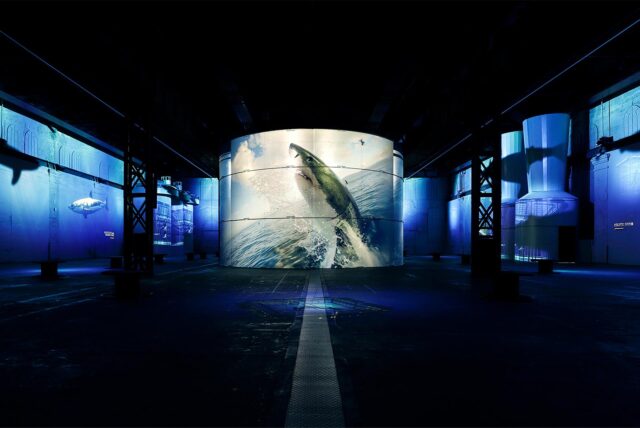 Die neue Ausstellung bei Phoenix des Lumières in Dortmund gibt einen Einblick in die Meereswelt.