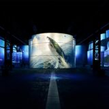 Die neue Ausstellung bei Phoenix des Lumières in Dortmund gibt einen Einblick in die Meereswelt.