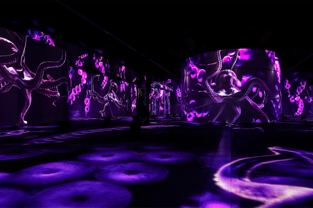 Culturespaces Falko Wübbecke
