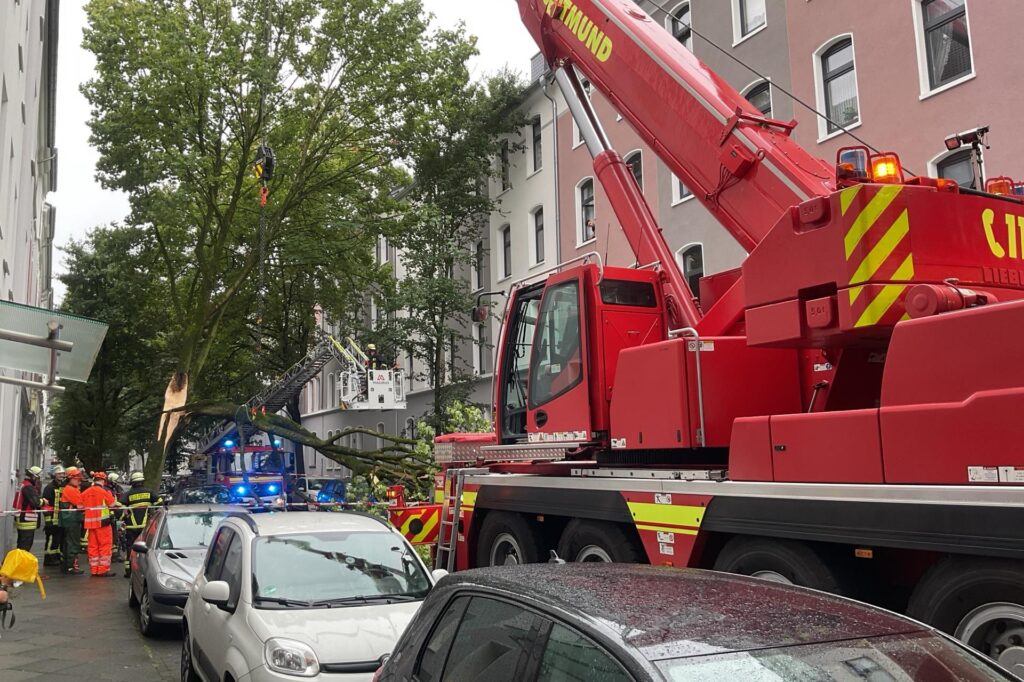 Einsatzkräfte der Feuerwehr bergen einen abgeknickten Baum in Dortmund. Einsatzkräfte der Feuerwehr bergen einen abgeknickten Baum in Dortmund.