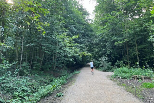 Die Laufstrecke im Stadtwald bekommt einen neuen Belag.
