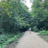 Die Laufstrecke im Stadtwald bekommt einen neuen Belag.