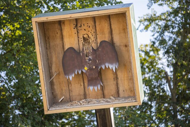 Ein zerschossener Adler im Kugelfang.