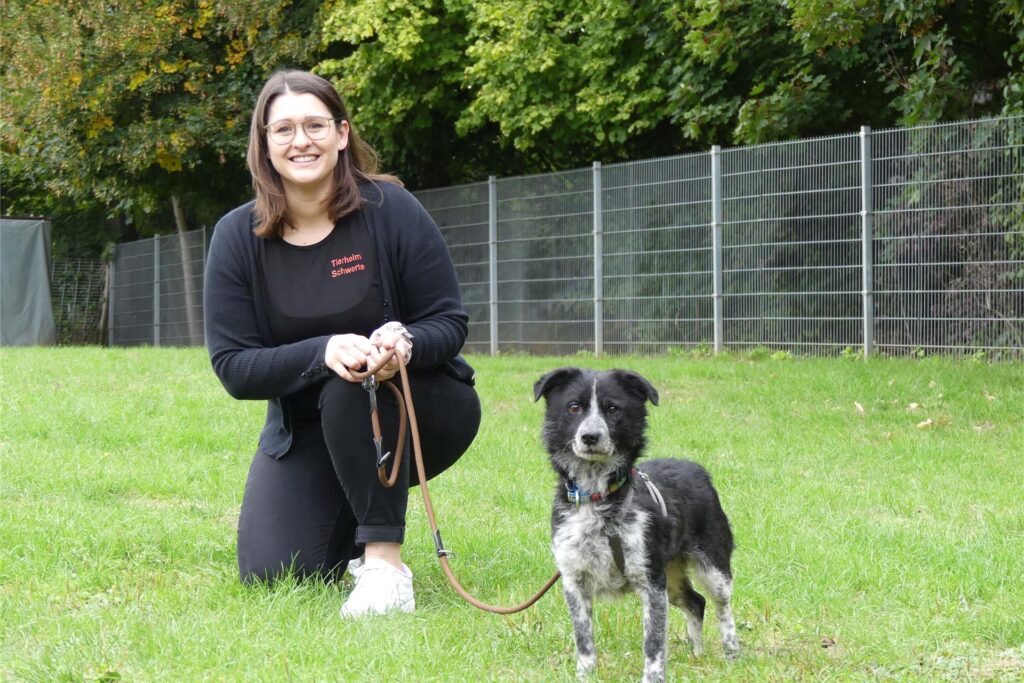 Anna Sonntag, Vorsitzende im Tierheim Schwerte, hockt neben einem schwarz-weißen Hund auf einer eingezäunten Wiese. Anna Sonntag, Vorsitzende im Tierheim Schwerte, hockt neben einem schwarz-weißen Hund auf einer eingezäunten Wiese.