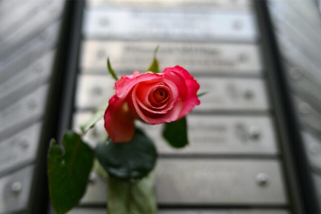 Eine Rose steckt auf dem Waldfriedhof an einem Gemeinschaftsdenkmal.