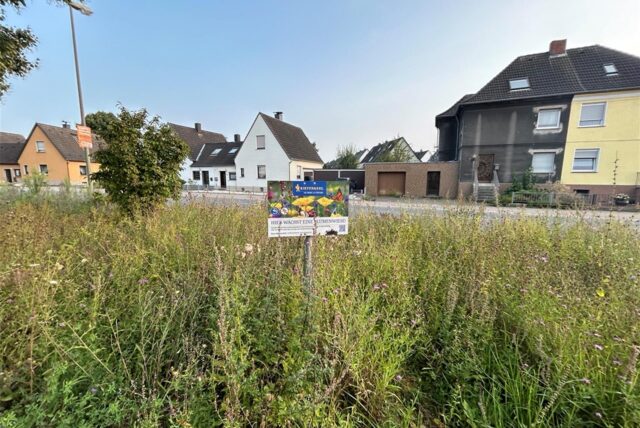 Ein buntes Schild steht auf einer Wiese, auf der die Pflanzen hochgewachsen sind.