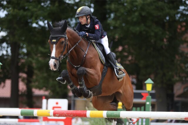 Lutz Gripshöver jun. springt auf seinem Pferd Lovely Boy über ein Hindernis.