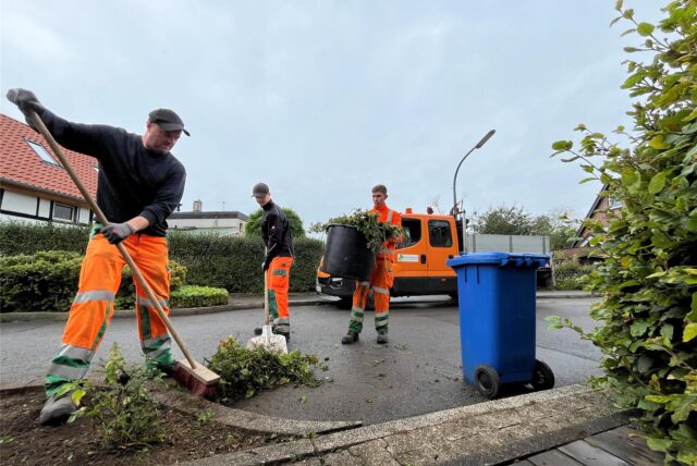 Drei Mitarbeiter der Holzwickeder Baubetriebshofes beseitigen Grünschnitt in der Landwehrstraße.