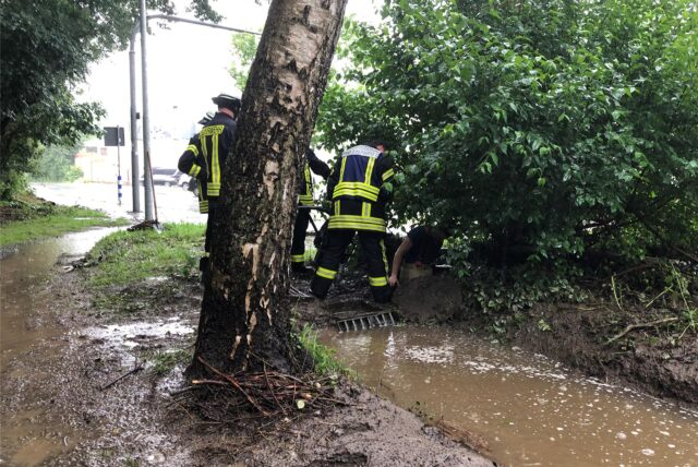Feuerwehrleute an einem Baum im Wasser.