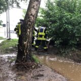 Feuerwehrleute an einem Baum im Wasser.
