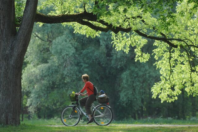 Eine Radfahrerin im Park