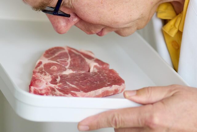 Ein Lebensmittelkontrolleur riecht an einem Stück Fleisch.
