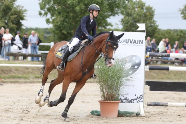 Lutz Gripshöver jun. mit seinem Pferd Lovely Boy auf dem Spring-Parcours.