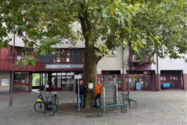 Baum auf dem Herbert-Wehner-Platz