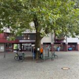 Baum auf dem Herbert-Wehner-Platz