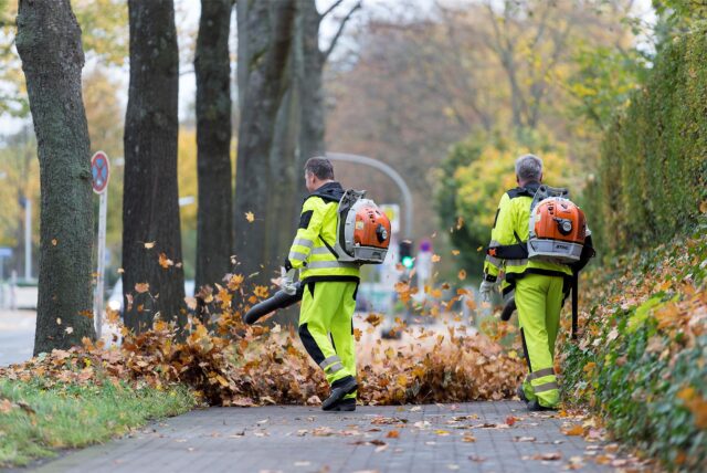 Zwei Mitarbeiter der EDG blasen in Dortmund Laub von einem Weg. Auf die Mitarbeiter des Entsorgungsunternehmens kommt während des Herbsts zusätzliche Arbeit zu.