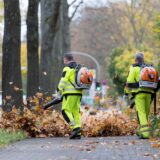 Zwei Mitarbeiter der EDG blasen in Dortmund Laub von einem Weg. Auf die Mitarbeiter des Entsorgungsunternehmens kommt während des Herbsts zusätzliche Arbeit zu.