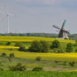 Die Achtkant-Erdholländermühle im brandenburgischen Greiffenberg in der Uckermark.