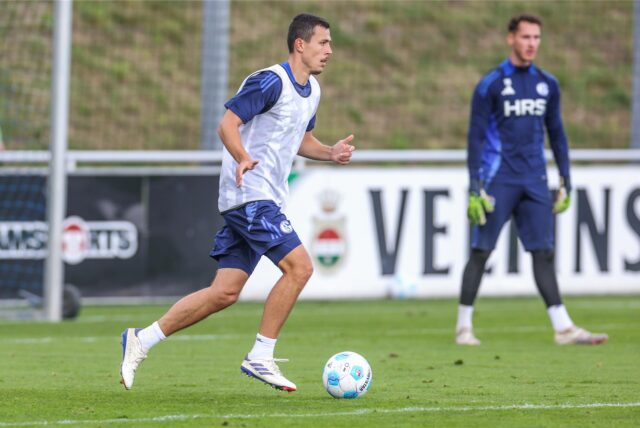 Übte viel Selbstkritik: Schalkes Mittelfeldspieler Ron Schallenberg.