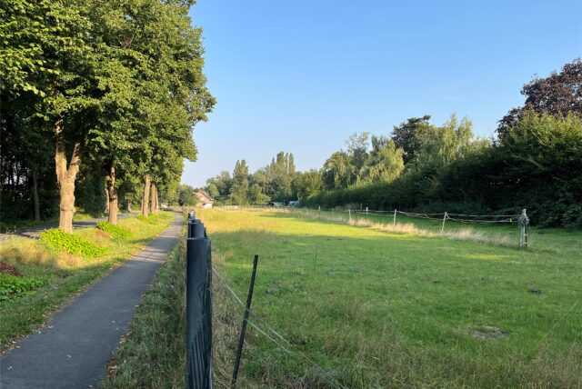 Auf dieser Wiese an der Lünener Straße im Oberadener Westen will sich ein Netto-Markt ansiedeln.