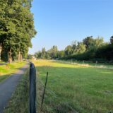 Auf dieser Wiese an der Lünener Straße im Oberadener Westen will sich ein Netto-Markt ansiedeln.